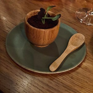 restaurant anicia bistrot nature françois gagnaire paris